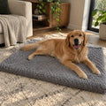 Orthopaedic Dog Mat