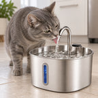 Grey tabby cat drinking from the stainless steel fountain