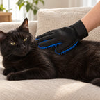Hand wearing the blue silicone glove stroking a black cat on a sofa