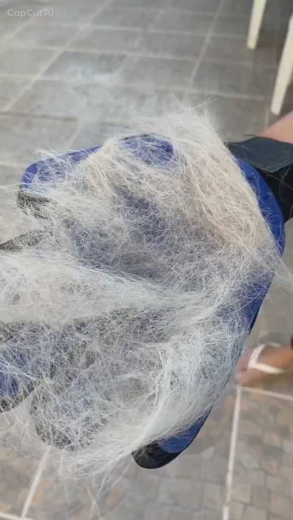 The Pet Hair Removal Glove in use on a dog and two cats, lifting loose fur